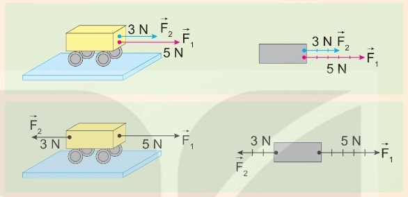 Tổng hợp hai lực cùng phương (a: cùng chiều 5N+3N=8N; b: ngược chiều 5N−3N=2N) (Ảnh Sách KNTT)