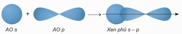 Xen phủ s – p