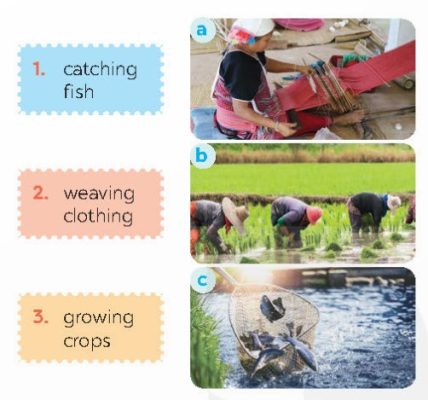Match the phrases with the correct pictures
