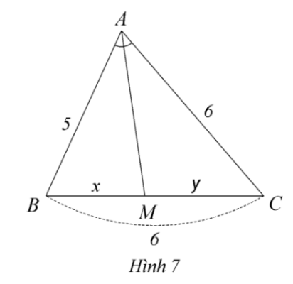 tam giác ABC, AM phân giác, AB = 5, AC = 6, BC = 6