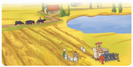 Look at the picture and discuss the following questions
