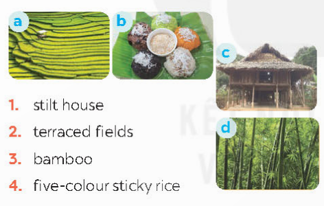 Match the pictures with the word and phrases from the conversation