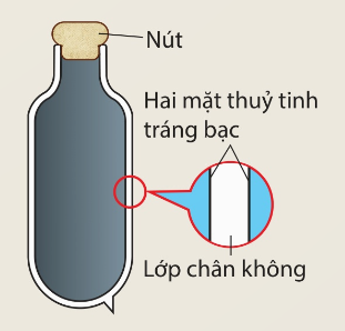 Cấu tạo ruột phích