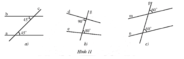 Hình 11