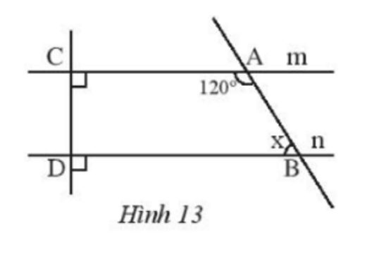 Hình 13