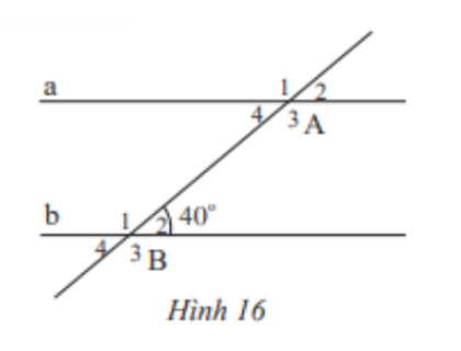 Hình 16