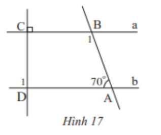 Hình 17