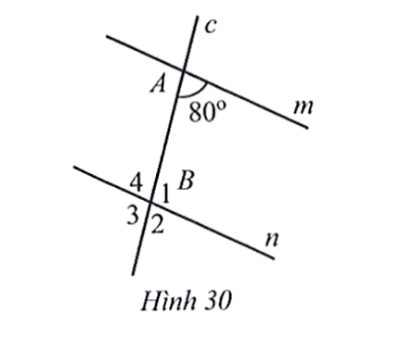 Hình 30