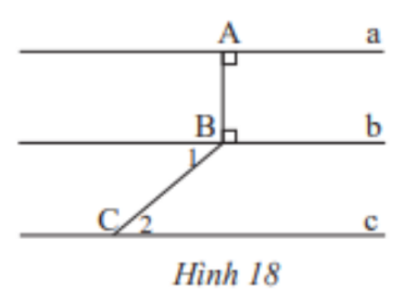 Hình 18