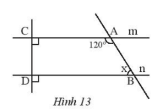 Hình 13
