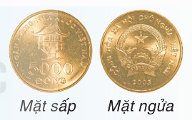 đồng xu sấp/ngửa