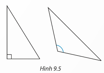 Hình 9.5