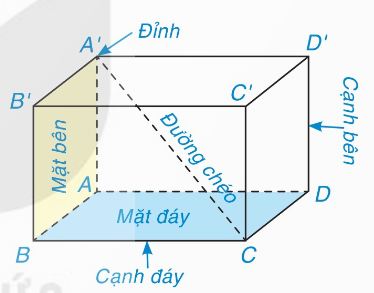 Hình hộp chữ nhật ABCD.A'B'C'D'
