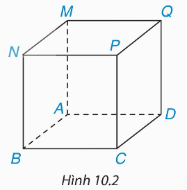 Hình lập phương