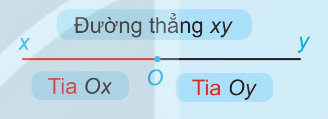 Đường thẳng xy bị chia bởi O thành tia Ox và tia Oy