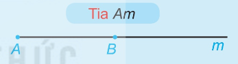 Tia Am với điểm B thuộc tia Am