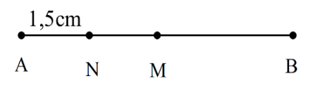 Các điểm A, N, M, B trên đoạn thẳng