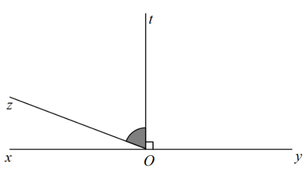 Các tia x, z, t, y xuất phát từ O