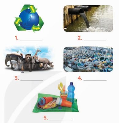 Task 4: Write a phrase from the box under each picture.