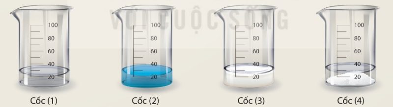 Bốn cốc chứa hỗn hợp nước và các chất rắn khác nhau