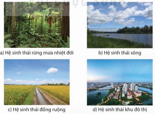 Các kiểu hệ sinh thái: rừng mưa nhiệt đới, sông, đồng ruộng, khu đô thị