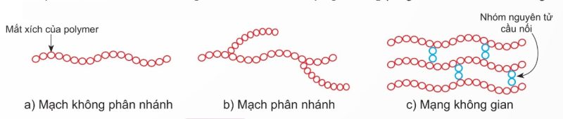 Các loại mạch polymer (Ảnh Sách KNTT)