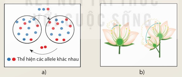 Các nhân tố tiến hoá