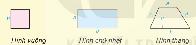 Chu vi và diện tích của hình vuông, hình chữ nhật, hình thang