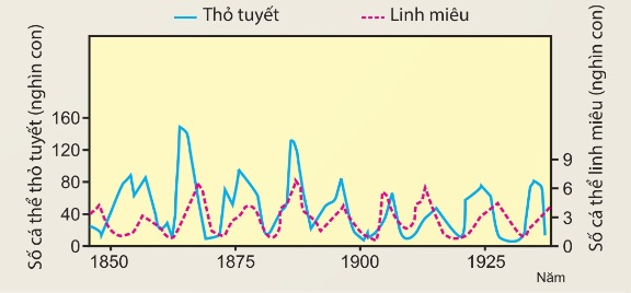 Đồ thị khống chế sinh học giữa thỏ tuyết và linh miêu
