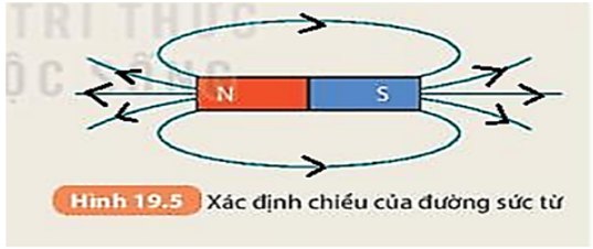 Đường sức từ của nam châm thẳng đã đánh dấu chiều