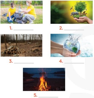Task 1: Label each picture with a phrase from the list.
