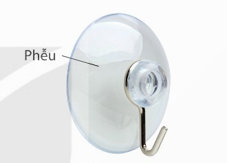 Giác mút treo tường