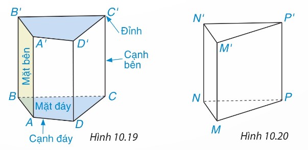 Hình lăng trụ đứng tam giác ABC.A'B'C'