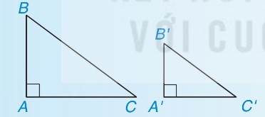 hai tam giác vuông ABC và A'B'C'
