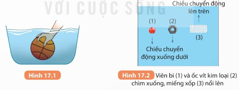 Hình 17.1 – Nhấn quả bóng vào nước cảm nhận lực đẩy; Hình 17.2 – Viên bi, ốc vít chìm xuống, miếng xốp nổi lên