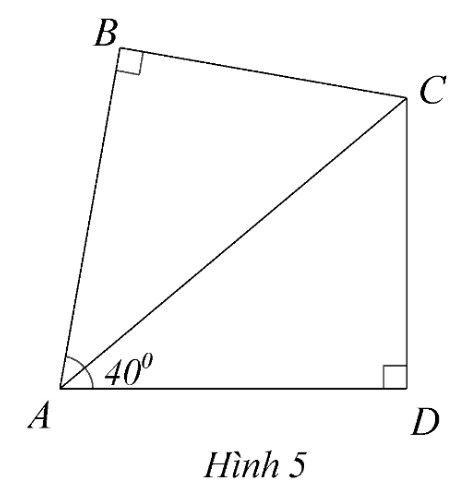 Hình 5 bài tập tự luyện