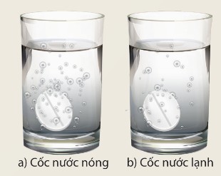 Hình 7.4 – Hoà tan viên C sủi trong cốc nước nóng và cốc nước lạnh