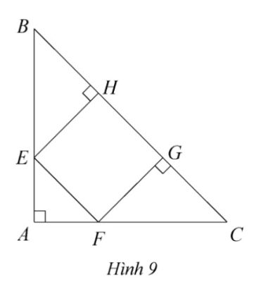 Hình 9 bài tập tự luyện