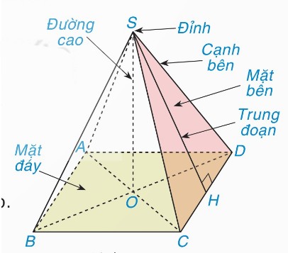 hình chóp S.ABCD có ghi chú đầy đủ các yếu tố: đỉnh S, mặt đáy ABCD, cạnh bên, mặt bên, đường cao, trung đoạn