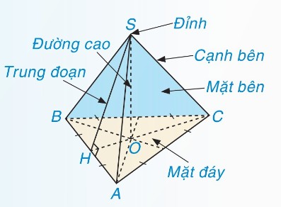 hình chóp tam giác đều S.ABC với các yếu tố