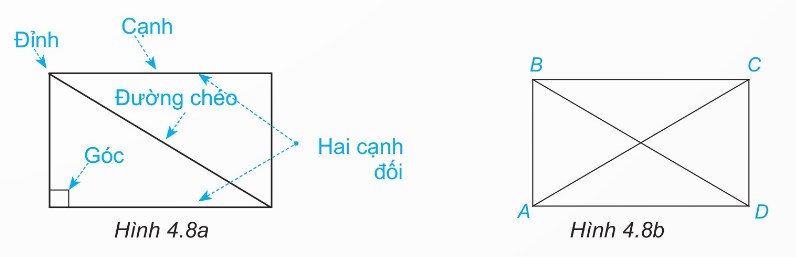 Hình chữ nhật ABCD với các yếu tố đỉnh, cạnh, đường chéo và hai cạnh đối