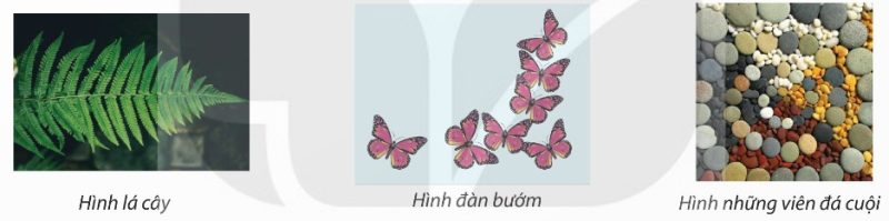 hình đồng dạng trong tự nhiên