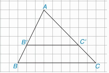 Hình tam giác ABC với B'C' // BC