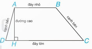hình thang ABCD với các yếu tố: đáy nhỏ, đáy lớn, cạnh bên, đường cao