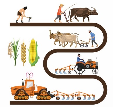 Hoạt động trồng trọt qua các thời kì phát triển xã hội