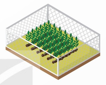 mảnh vườn rào lưới thép