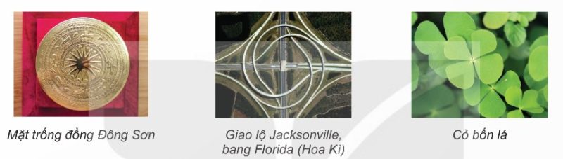 Mặt trống đồng Đông Sơn, giao lộ Jacksonville, cỏ bốn lá
