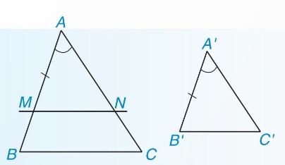 Hai tam giác có hai cạnh tỉ lệ và góc xen giữa bằng nhau