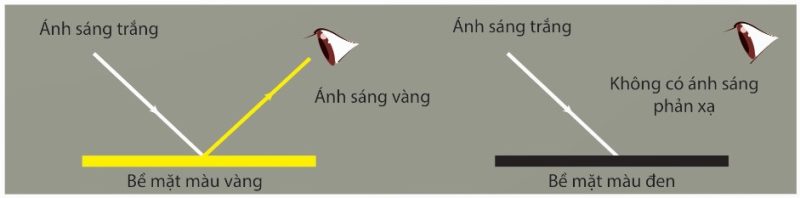 Minh họa sự nhìn thấy màu sắc của bề mặt vàng và bề mặt đen