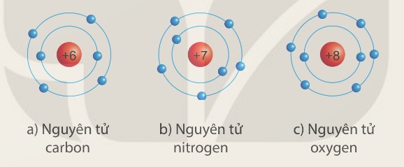 Mô hình nguyên tử carbon, nitrogen, oxygen